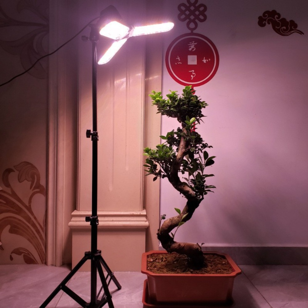 Light Bulb Stand 2M, E27 AC So - đánh giá và giá Photography Bulb