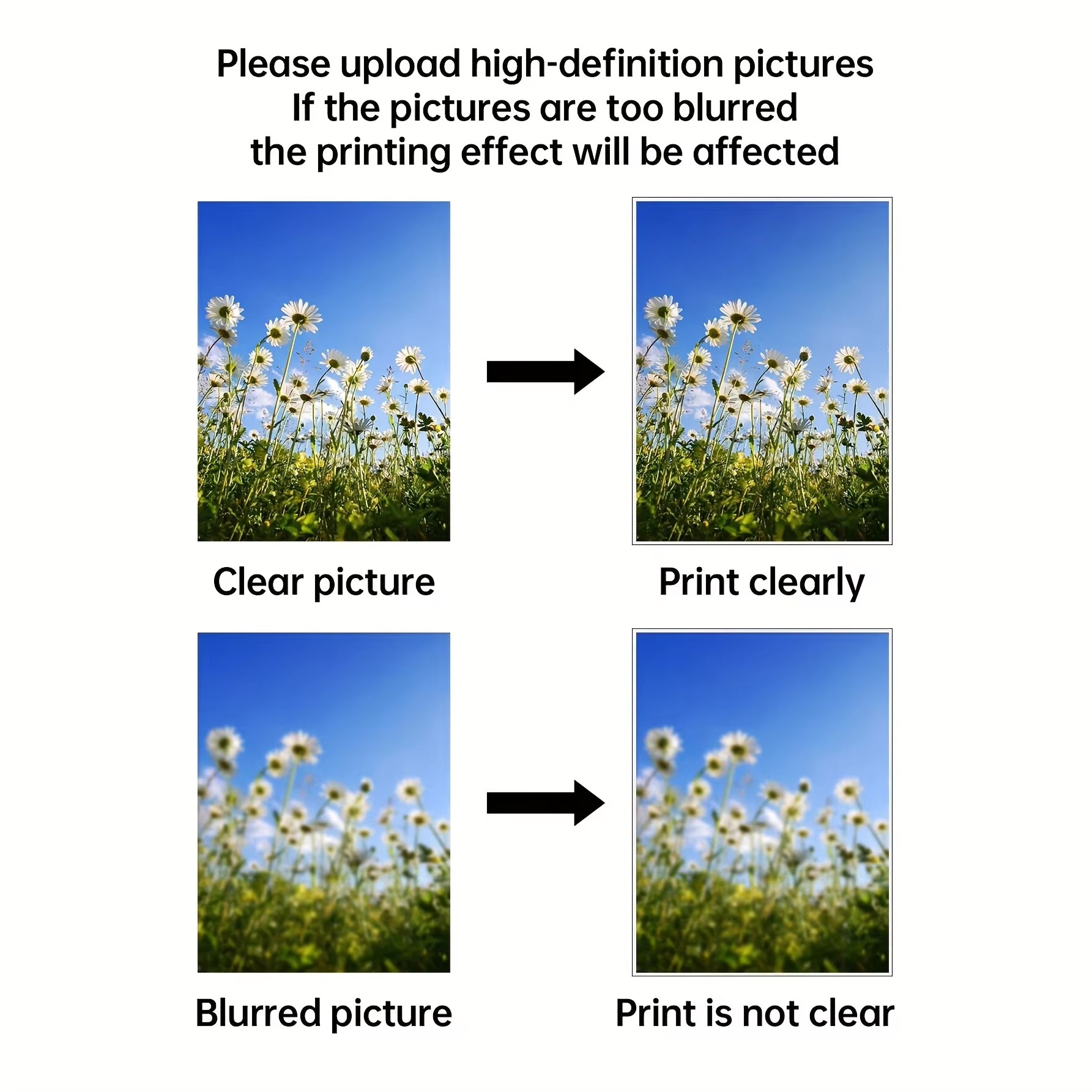 Custom Print Canvas Painting F - đánh giá và giá Photography Poster